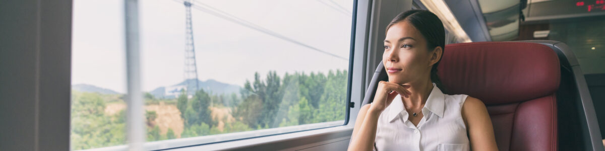 Train Passenger